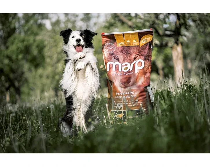 Marp Holistic Lamb - jehněčí bez obilovin 12kg