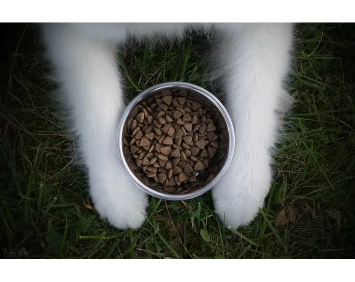Marp Holistic White Mix LB - pro velká plemena bez obilovin 2kg