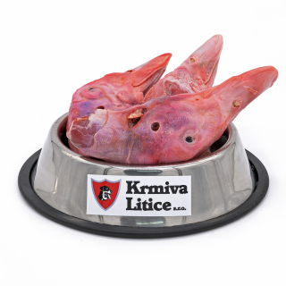 Kachní hlavy