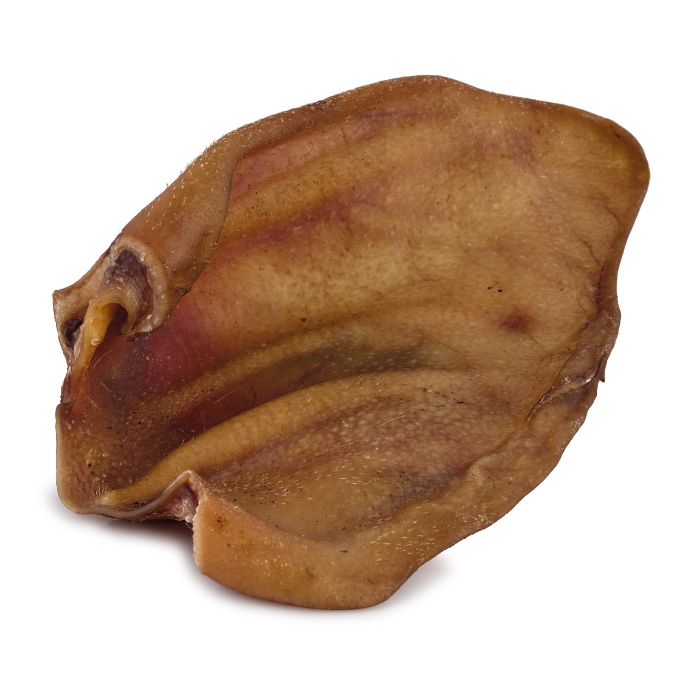 vepřové ucho sušené 1ks